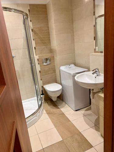 a bathroom with a toilet and a sink and a shower at City view Apartment in Krakow