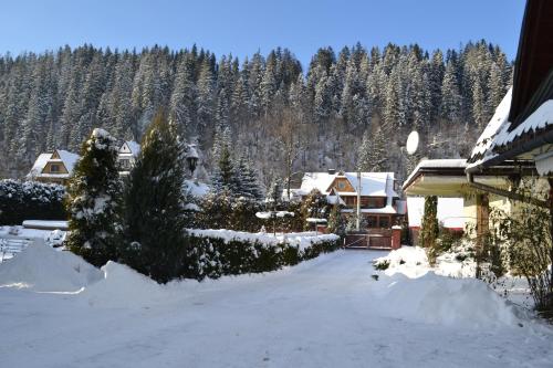 a snow covered yard with a house and trees at Durda in Poronin