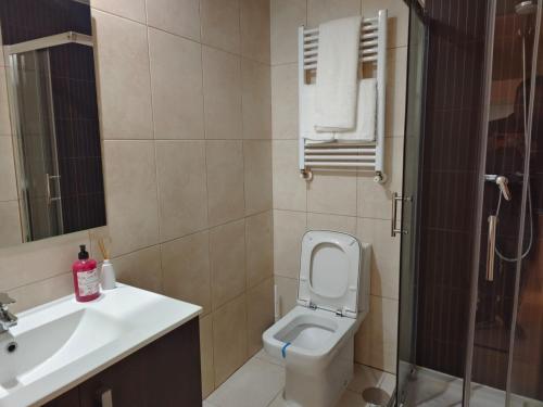 a bathroom with a toilet and a sink at Casa Jaime in Alcalá de Henares