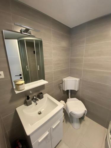 W łazience znajduje się umywalka, toaleta i lustro. w obiekcie Studio apartman Piccolo w mieście Metković
