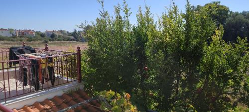 a tree on a balcony next to a fence at Maria's home in Órmos