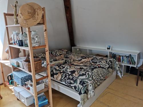 een slaapkamer met een bed en een boekenplank bij Dachstudio Herkulesblick in Kassel