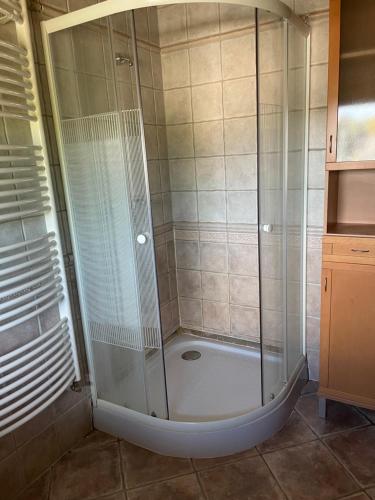 a shower with a glass enclosure in a bathroom at Bagolyvár Inárcs in Inárcs