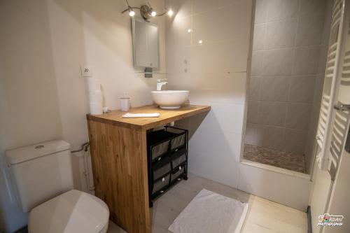 uma casa de banho com um lavatório, um WC e um chuveiro em Hyper centre - wifi - cosy - Gare em Bourg-en-Bresse