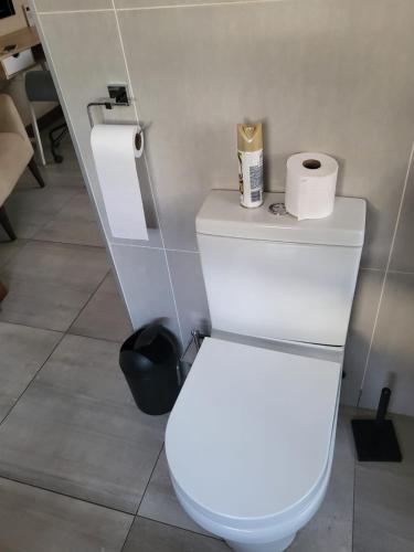 a bathroom with a toilet with a roll of toilet paper at Ultimate Sky in Pretoria