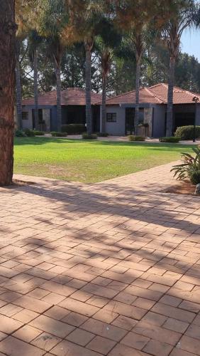 a shadow of a palm tree on a brick driveway at Ultimate Sky in Pretoria