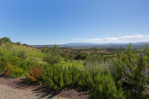 a view from the top of a hill with plants at AMORE RENTALS - Villa Ambretta in Campagnatico
