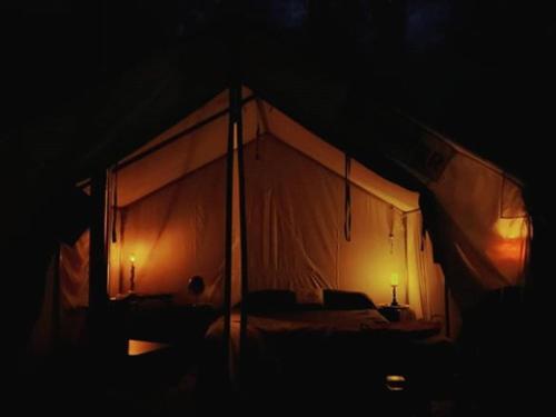 Tentrr - The Magic Glamp – Photos 2