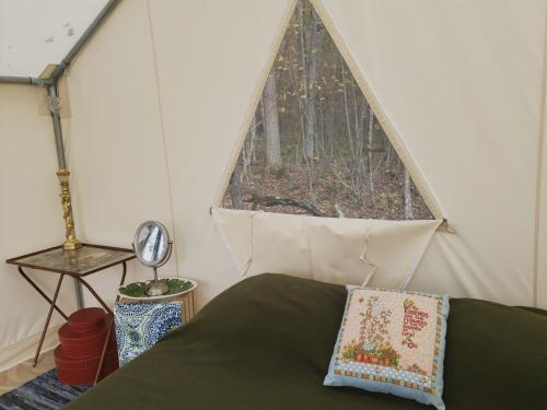 Tentrr - The Magic Glamp – Photos 5