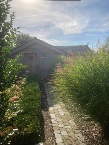 a small shed next to a garden with tall grass at 1001nacht in Beernem