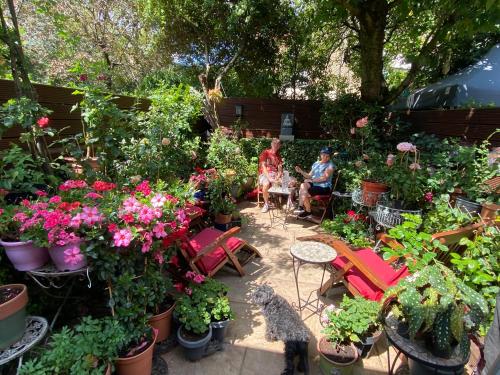 Georgiana's Guesthouse photo 30