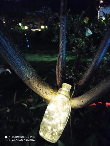 a bottle hanging from a tree at night at Bdr Bukit Tinggi Klang Tropicana Garden Homestay in Klang