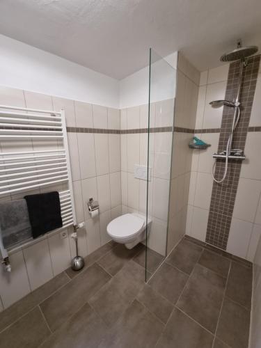 a bathroom with a toilet and a glass shower at Appartment Montfort in Feldkirch