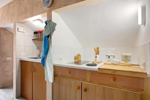 uma cozinha com um lavatório e uma bancada em Apartament Studio Petite Paradise em La Laguna