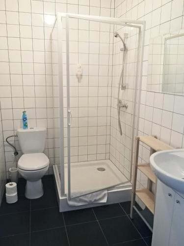 Un baño con ducha, inodoro y lavabo. en Orańska, en Międzygórze