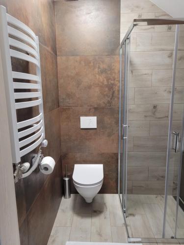 a bathroom with a toilet and a glass shower at Karolowy pokoje&apartamenty in Ustroń