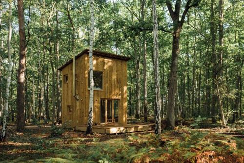 a wooden cabin in the middle of a forest at Youza ecolodge in La Couture-Boussey