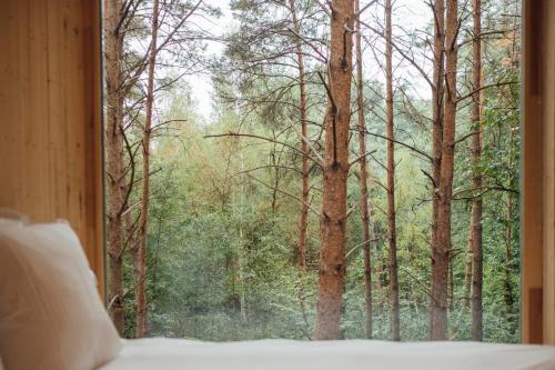 a bedroom window with a view of a forest at Youza ecolodge in La Couture-Boussey