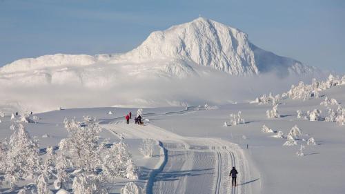 a group of people skiing down a snow covered mountain at Leilighet Beitostølen sentrum, terrasse og innendørs parkering in Beitostøl