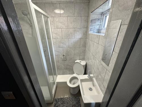 a small bathroom with a toilet and a sink at BRAND NEW LARGE Studio Flat! in Hackbridge