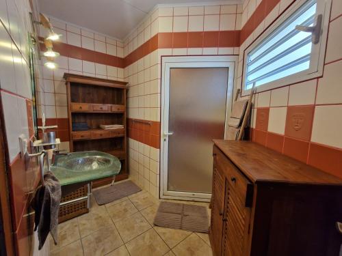 a bathroom with a shower and a sink at Villa ARC-EN-CIEL in Petite Île