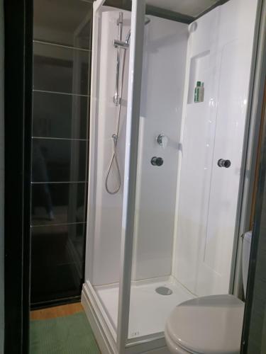 La salle de bains est pourvue d'une douche et de toilettes. dans l'établissement Cocoon'House, à Gruissan