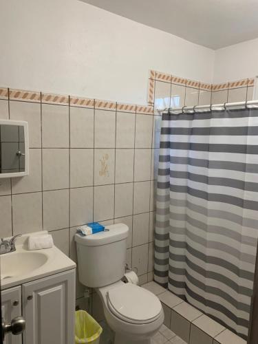 y baño con aseo y cortina de ducha. en CRAB ISLAND ADVENTURES APARTMENTS en Vieques