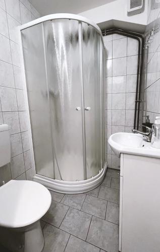 a bathroom with a shower and a toilet and a sink at Penzion Zahrádka in Lázně Bohdaneč