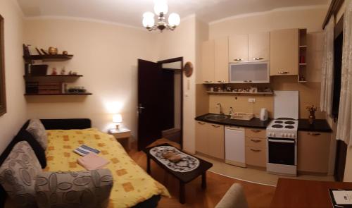 a small apartment with a kitchen and a living room at Apartment Heart of Podgorica in Podgorica
