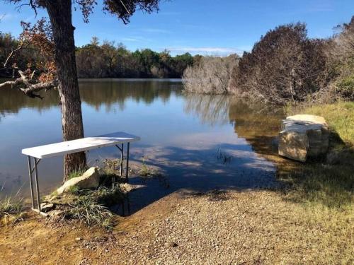 a bench sitting next to a tree next to a lake at Reflection Cabin on Lake Godstone in Jacksboro