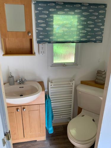 a small bathroom with a sink and a toilet at Shambala Country Cabin in Kentisbeare