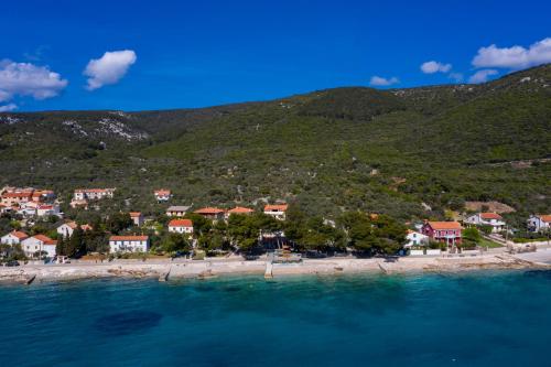 an aerial view of a beach with houses at Apartman Marina in Martinšćica