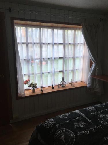a window in a bedroom with a window sill with flowers in it at Precioso alojamiento centro Coyhaique in Coihaique