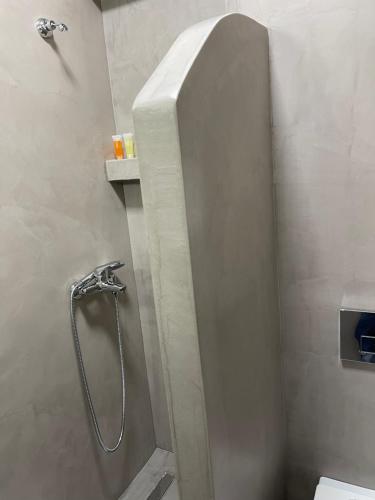 a shower stall in a bathroom with a toilet at Niriides Hotel Apartments in Symi
