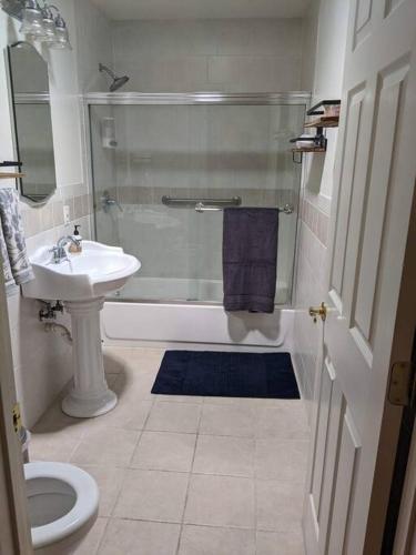 a bathroom with a sink and a shower and a toilet at A lake, a mountain and the house with the red door in Clearlake