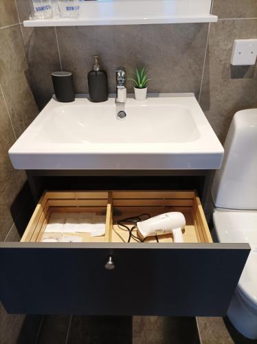 a bathroom with a sink and a phone in a drawer at Horizont Dedine in Golubac