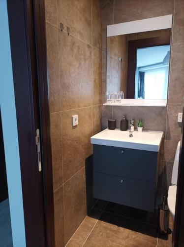 a bathroom with a sink and a mirror at Horizont Dedine in Golubac