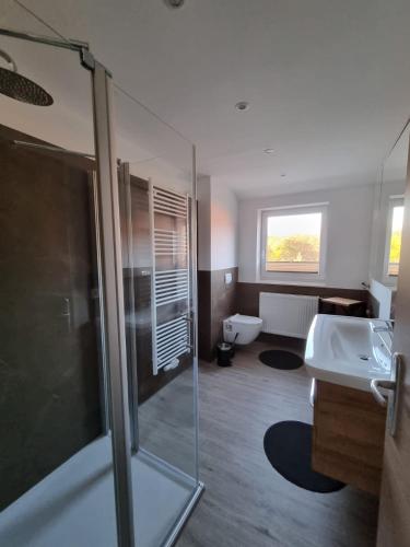 a bathroom with a shower and a sink and a toilet at Ferienwohnung Mack 1 in Wernigerode