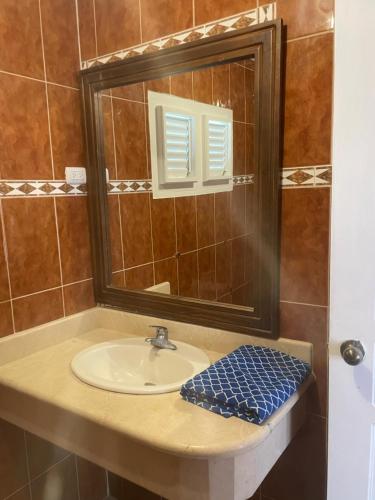 Gallery image of Palms Lounge Cabarete in Cabarete