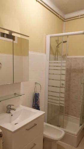 une salle de bain avec un lavabo, une douche et des toilettes dans l'établissement Grand appartement de charme avec parking privé, à Florac