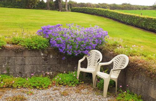 two chairs sitting next to a wall with flowers at Cornode Cottage in Garrykennedy