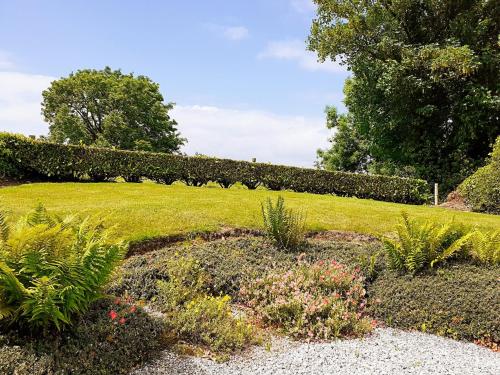a garden with a hedge and some flowers at Lackaroe Cottage in Garrykennedy