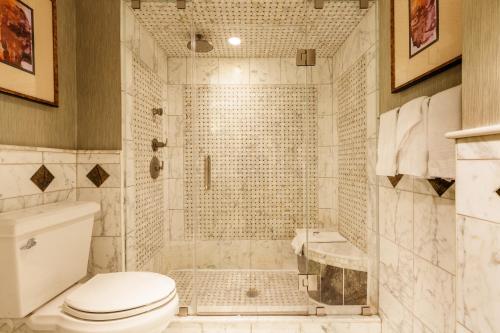 a bathroom with a toilet and a shower at Sleepy Hollow Hotel in Tarrytown