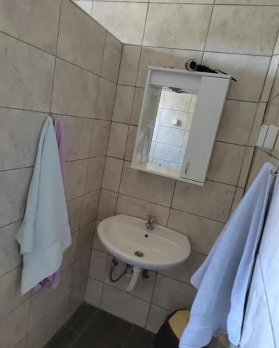 a bathroom with a sink and a mirror at Apartmani Jela in Sombor