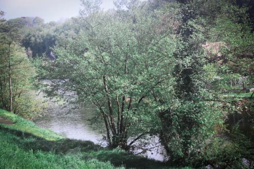 Along the Amblève's river