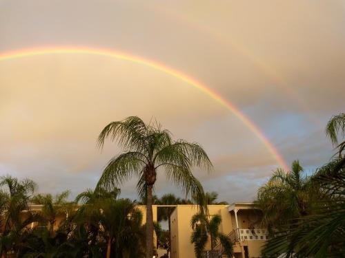 a rainbow in the sky with a palm tree at Venice Beach Villas in Venice