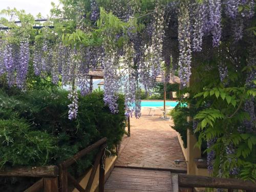 Gallery image of Borgo di Monte Murlo in Guardistallo