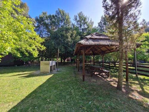 Un jardín fuera de Cabañas la soñada