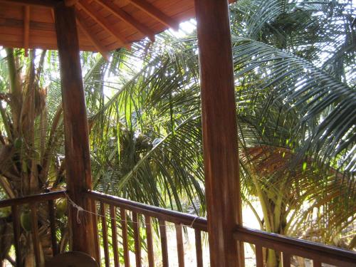 a view of a palm tree from a porch at Fishermens Lodge & Restaurant in Ranna