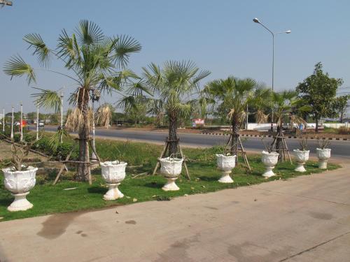 a row of white urns with palm trees on a street at The Star Hotel in Udon Thani
